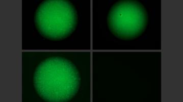 Programmable gels